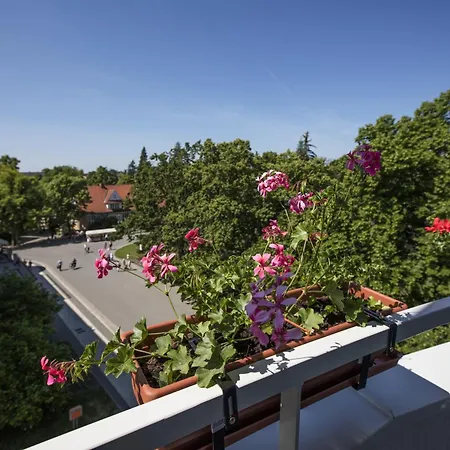 Bellevue Tlapak Hotel 4*